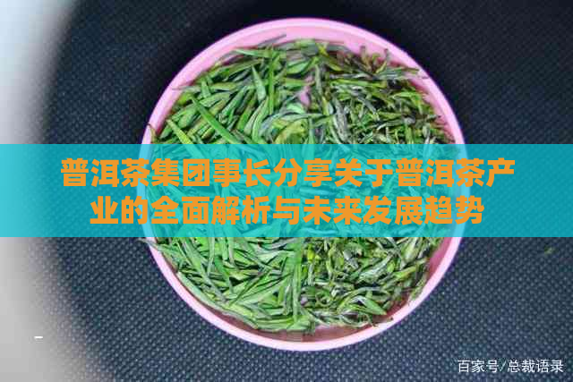 普洱茶集团事长分享关于普洱茶产业的全面解