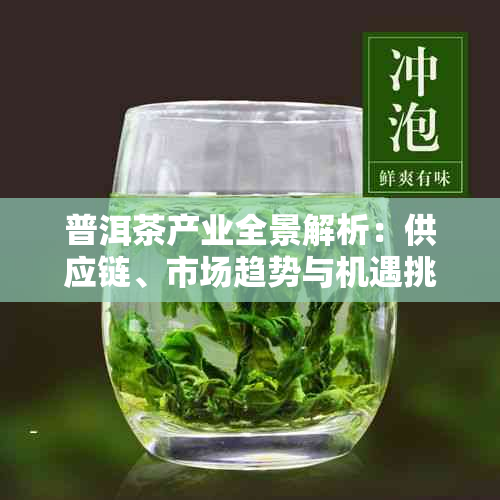 普洱茶产业全景解析：供应链、市场趋势与机